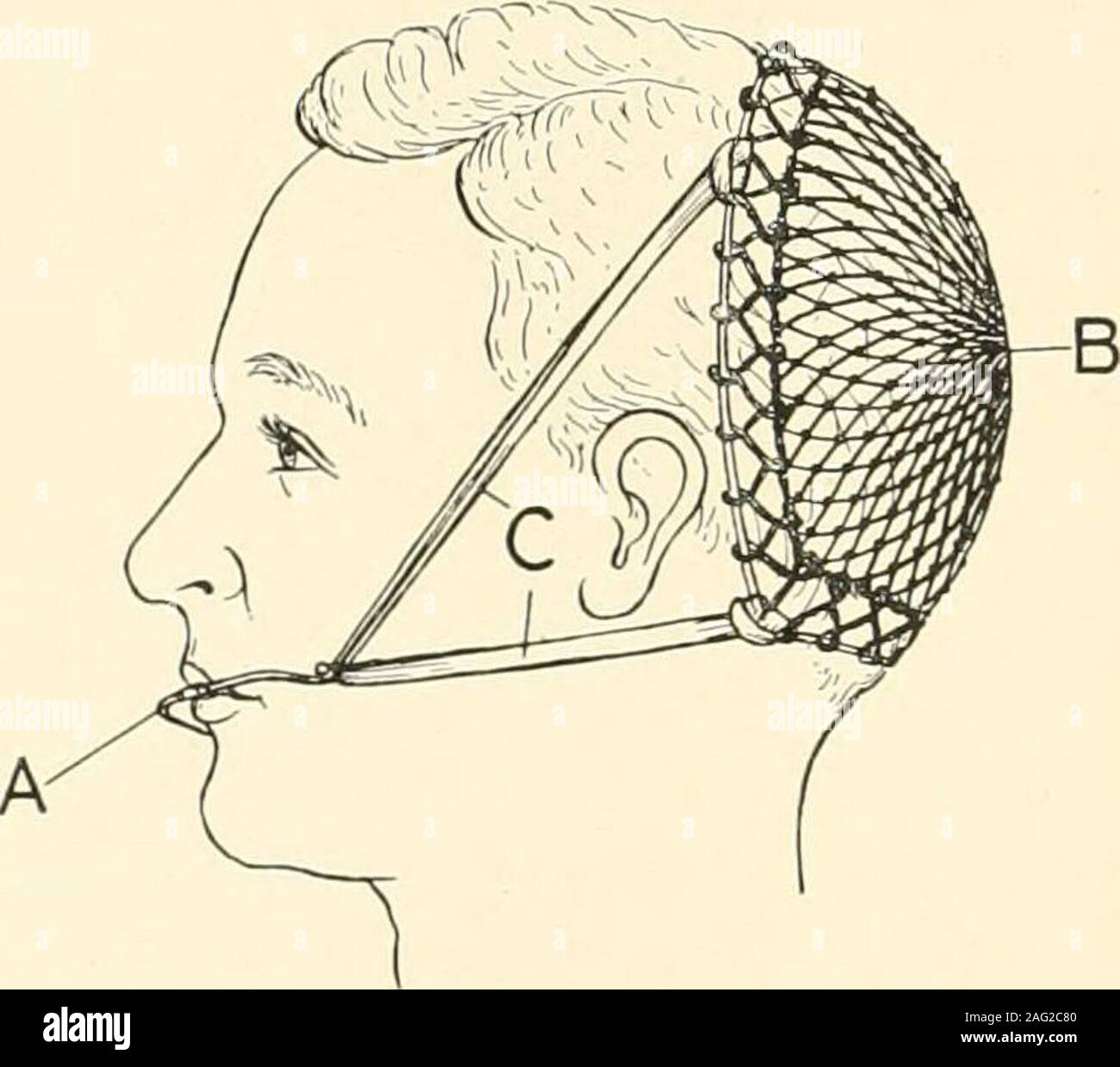 . The science and practice of dental surgery. y be re-soldered to lie ...