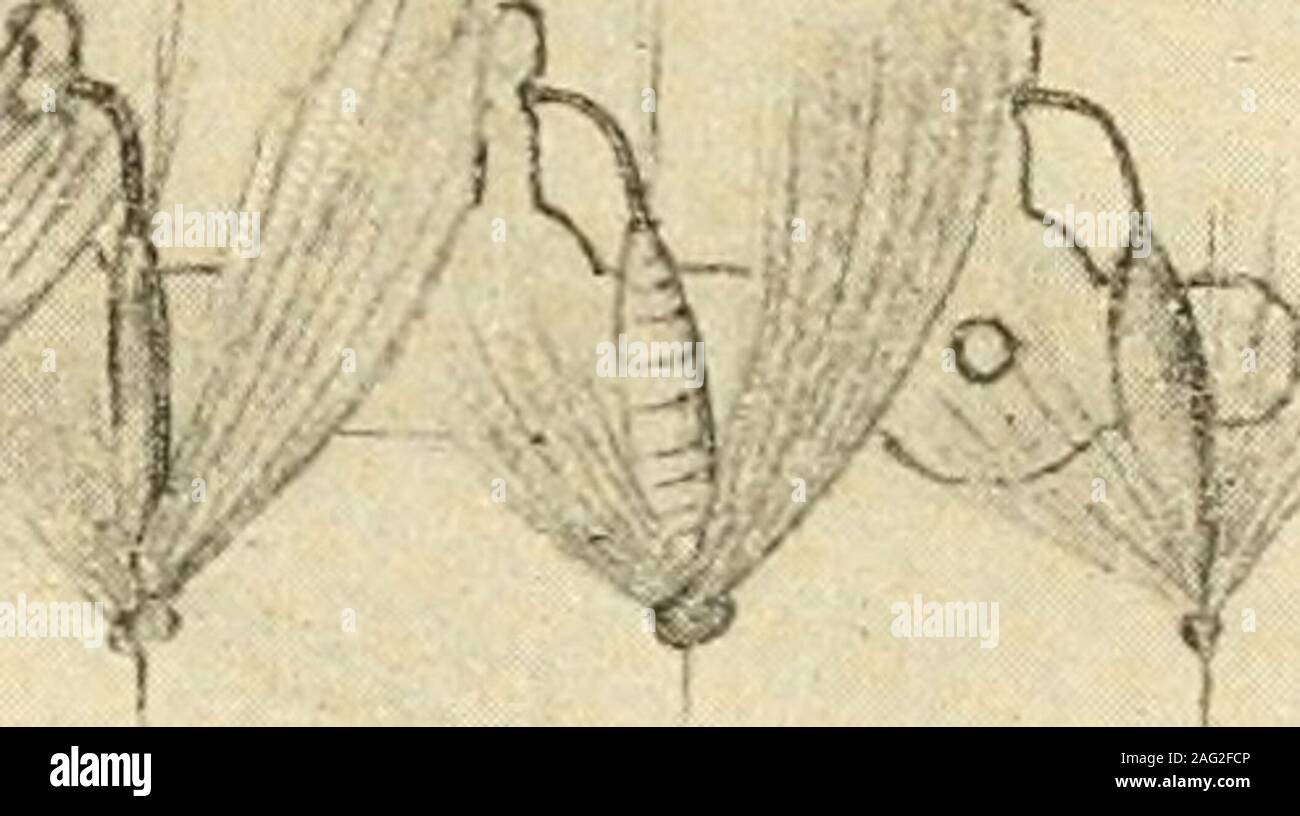 Rhymes Of The Stream And Forest Ashing Haste Her Forest Call Obeyed Octobers Golden Haze Again Top rhymes for forest are florist, rainforest and forrest. alamy