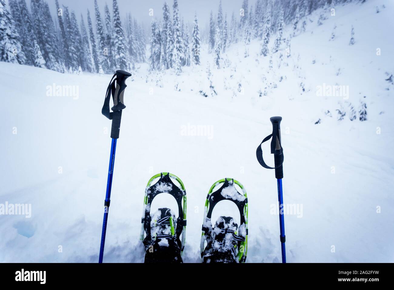 Green snowshoes and blue trekking poles against a coldlooking winter