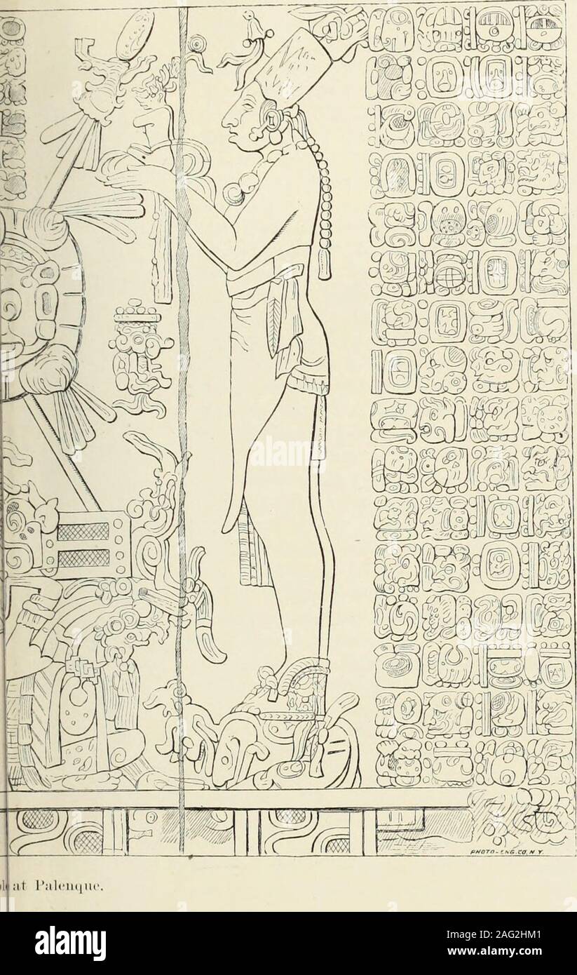. Annual report of the Bureau of ethnology to the secretary of the Smithsonian Institution ... Fig. (id.—Tali. holder] THK MAYA HIEKOGLYPHS. 235 Tlaloc. This is known by the head-dress, the teeth, the air-trumpet, theserpent symbol, etc. In Plates XXVIII, XXXI, and XXXIII of thesame work Huitzilopochtli and Tlaloc are represented together, invarious adventures. In Plate LX (Pig. 59) notice also the chiffre on the tassels before andbehind the main personage. Xow turn to the Plate XXIV (Fig. 00), which is the main object in the Adoratorio (Fig. 57), where the human figures serve as flankers. Fir Stock Photo