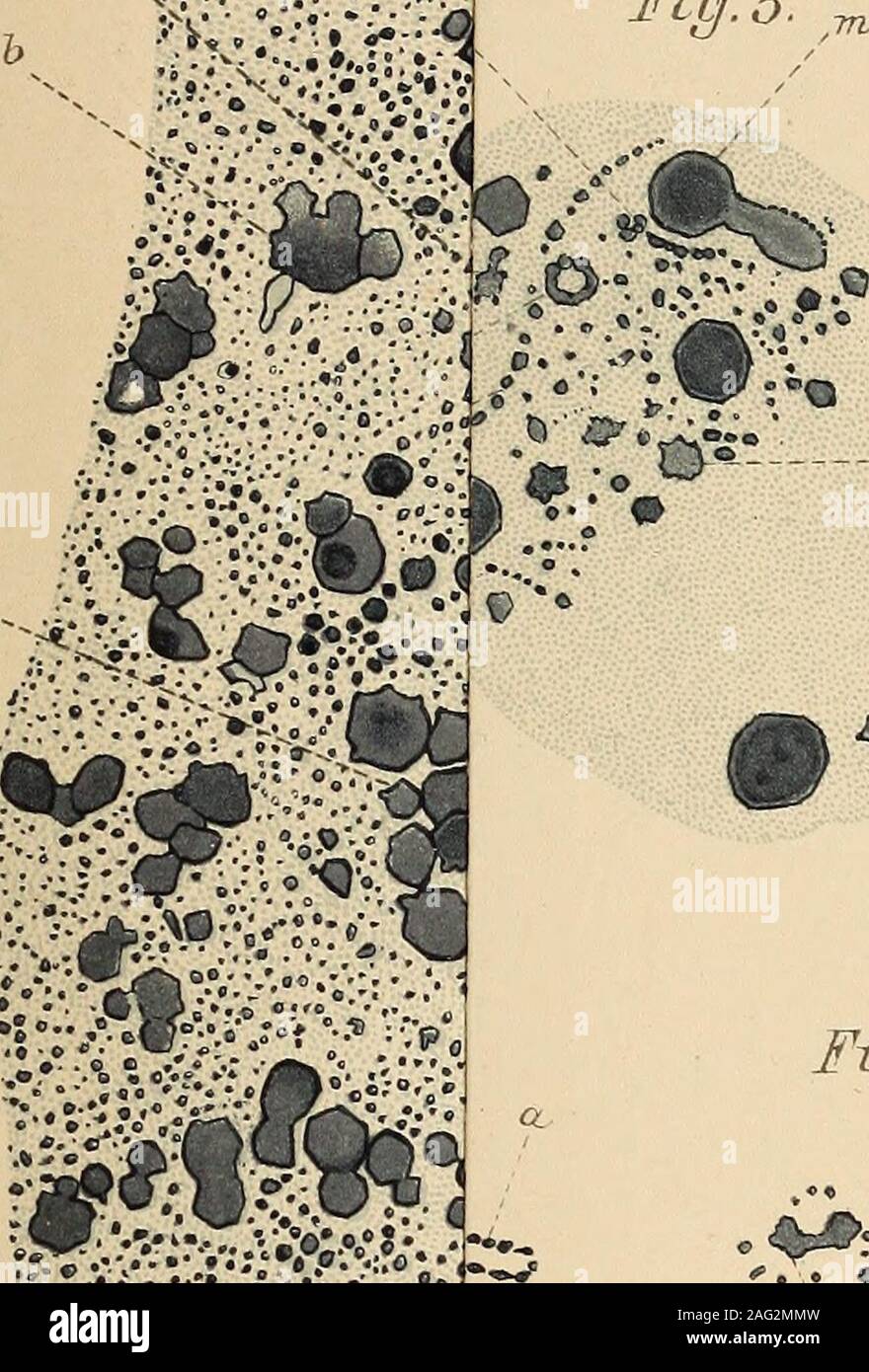 Page 9 K G F High Resolution Stock Photography And Images Alamy