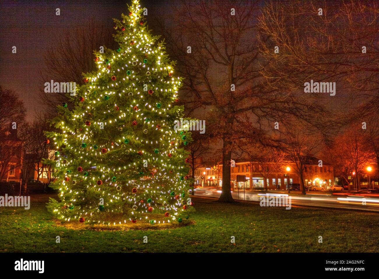 Community christmas tree hires stock photography and images Alamy