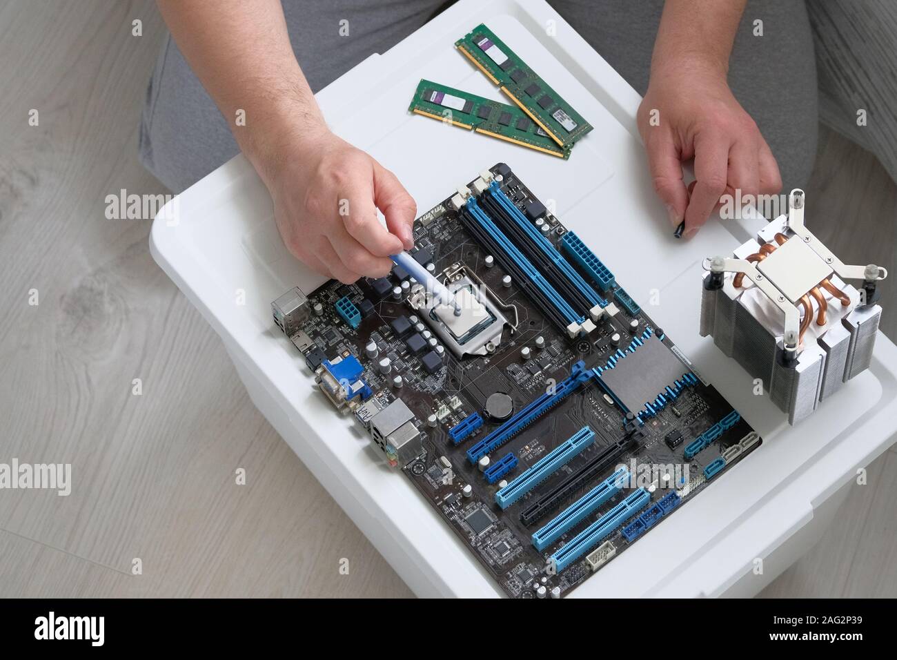 Thermal grease for computer. Male hand applied thermal paste to processor. Service electronics and computers concept. Stock Photo