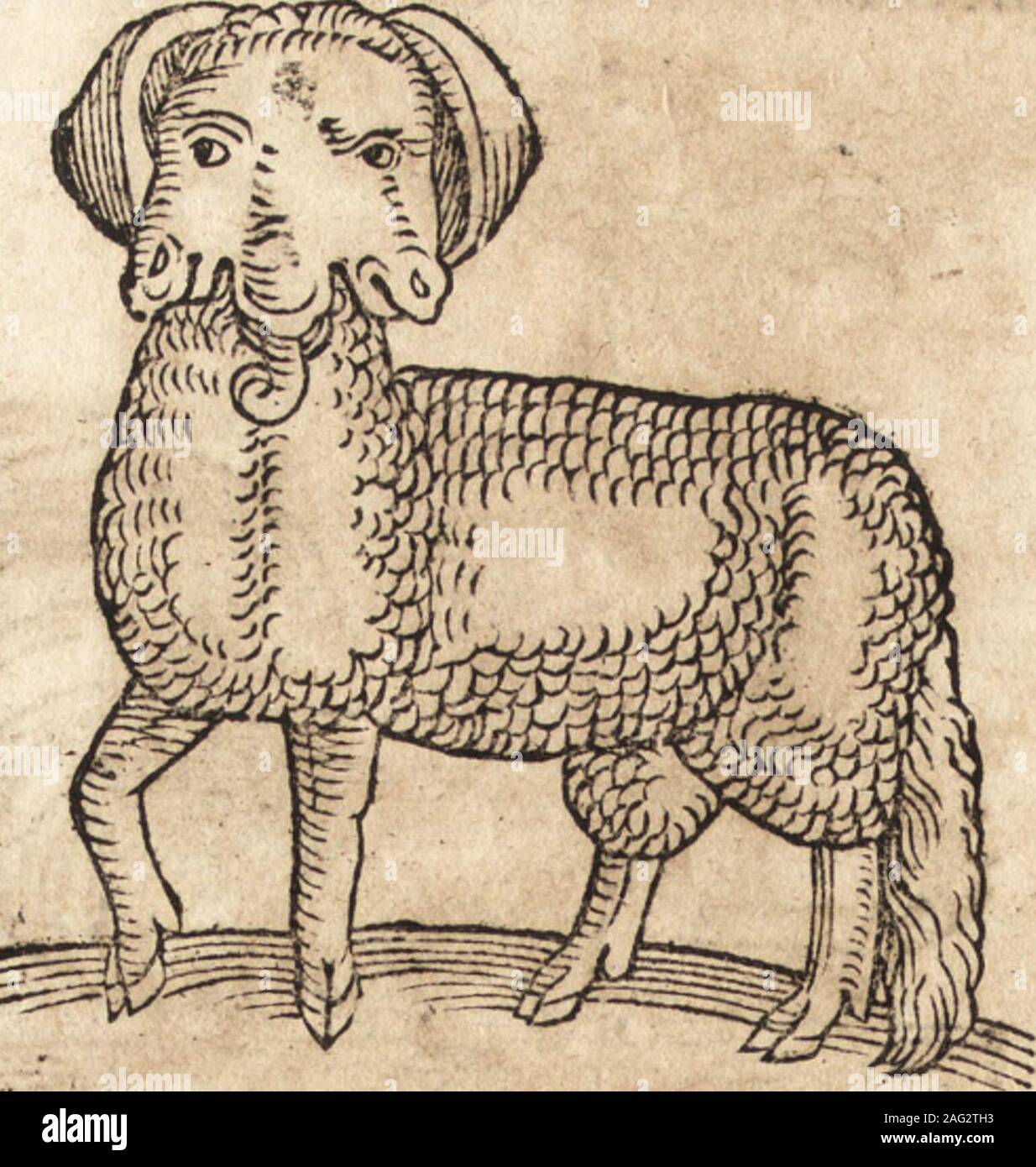 Motum hi-res stock photography and images - Alamy