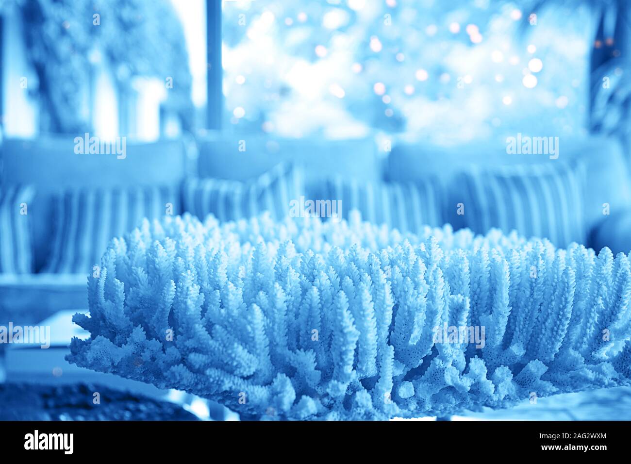 Blue coral texture in beautiful house interior. Classic Blue color 2020 concept. Macro, flat lay, top view. Stock Photo