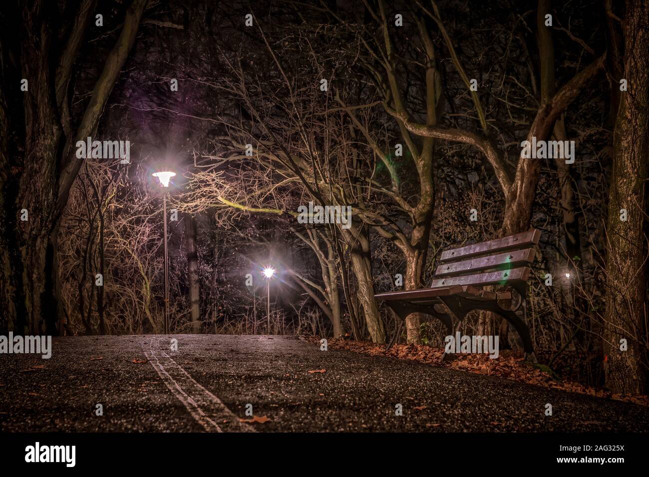 park on Bolko Island in Opole at night Stock Photo