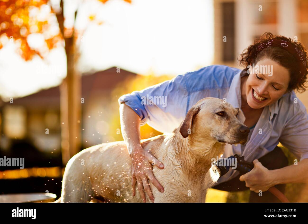 Giving dog a bath hires stock photography and images Alamy