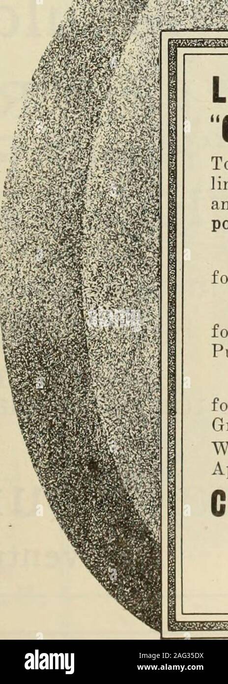 . Canadian foundryman (1918). |«EMktt«im)tmBafflKd»^^ Let us assist you inGrinding DownCosts To do this simply give us an out-line of your grinding operationand we will furnish the bestpossible wheel for the purpose. Gresolite for Grey and Chilled Iron. Emery for Steel Foundry and GeneralPurpose. Corundum and Rexite for Precision and Fine Tool Grinding. Write for booklet Safety as Applied to Grinding Wheels. Canadian Hart Wheels LIMITED Manujaciurcrs Grinding Wheels and Machinery 456 Barton Street East HAMILTON. CANADA »MBBMI»M«H«.&lt;J.WMilte^^ If any advertisement interests you, tear it out Stock Photo