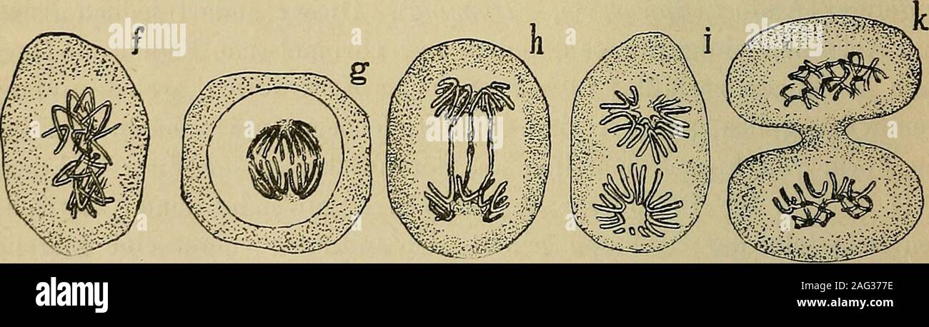 Page 3 Miti High Resolution Stock Photography And Images Alamy