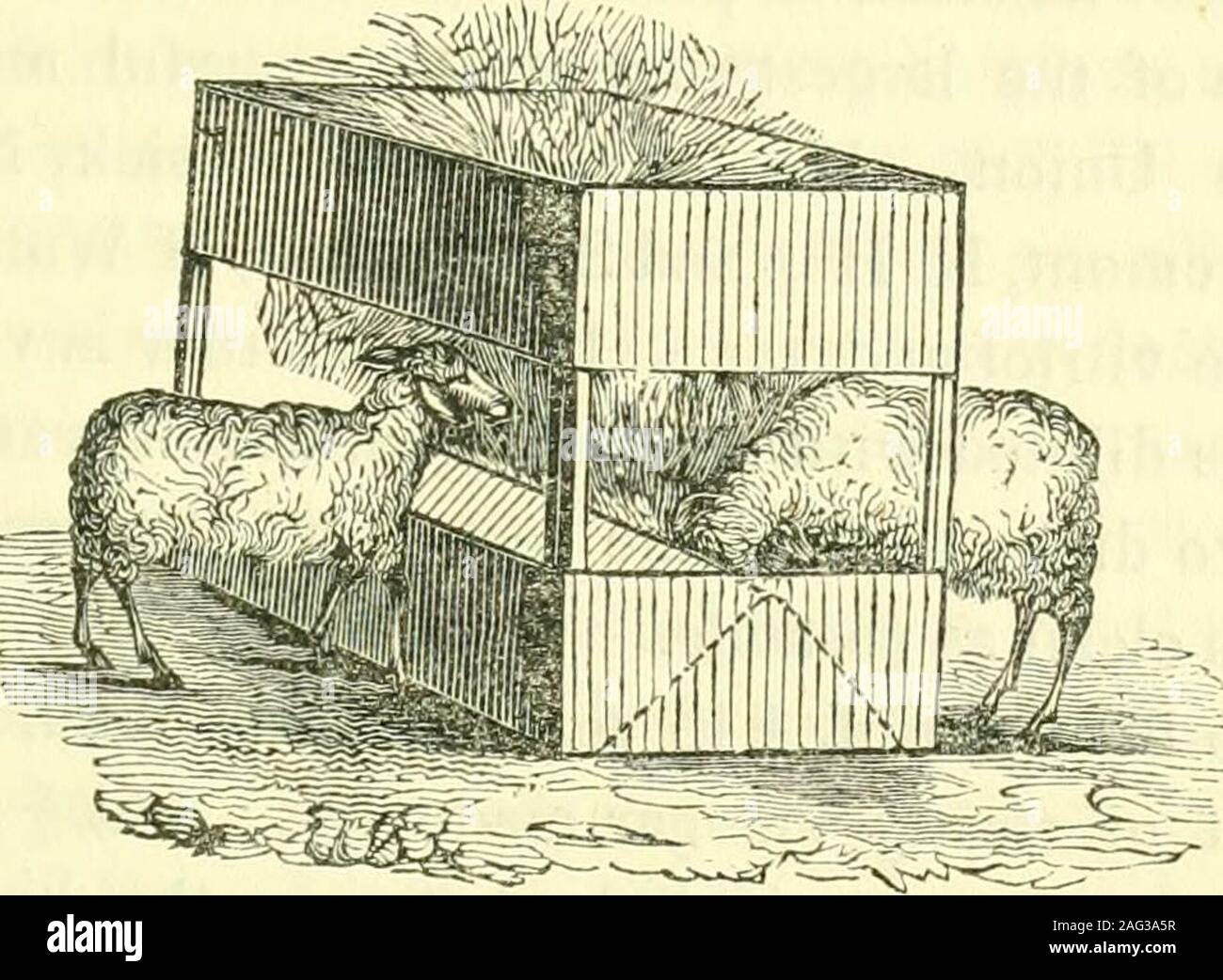 . Report on the agriculture of Massachusetts. is consumed by the sheep. The manger which is preferable to any other is of suchlength as to be easily moved by two persons, and is made withfour or more upright posts, and with two boards or slats extend-ing the whole distance round its sides and ends. The bottomboard on the side may be ten or twelve inches in width ; andabove that, leaving a space of about a foot or fourteen inches,there may be another board of about six or eight inches inwidth. The width of the manger or box should be about twofeet. It should have a tight bottom, with two pieces Stock Photo