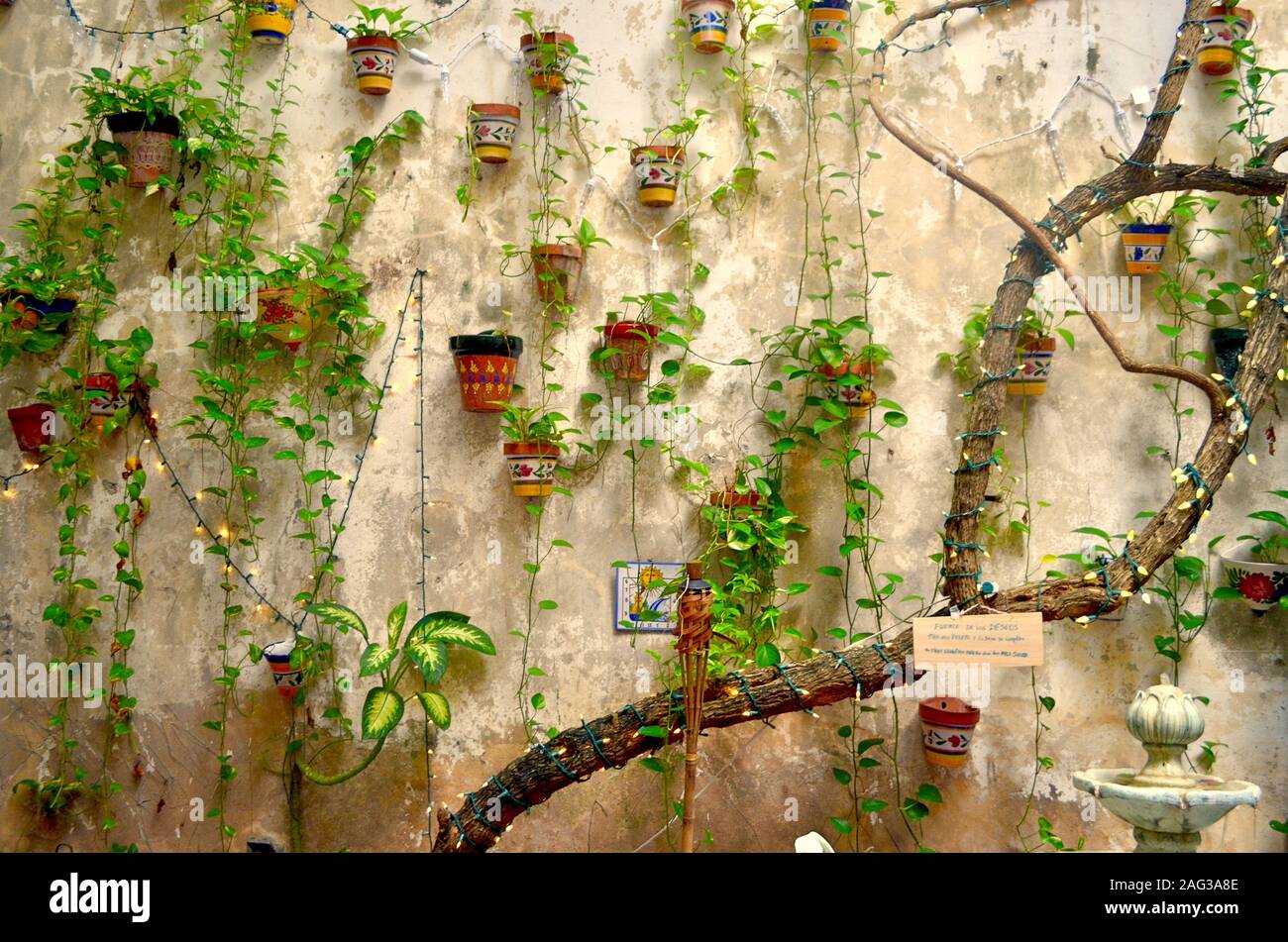 Garden wall with colorful terracotta flower pots, hanging vines, and strings of white lights in Old San Juan, Puerto Rico Stock Photo