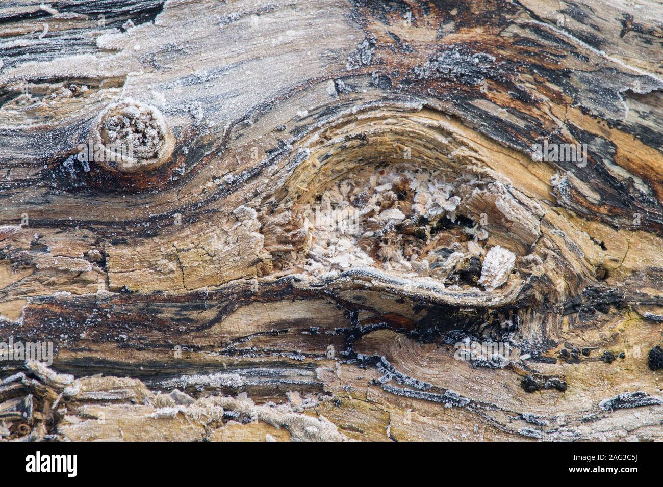 abstract texture of frozen lumber Stock Photo Alamy