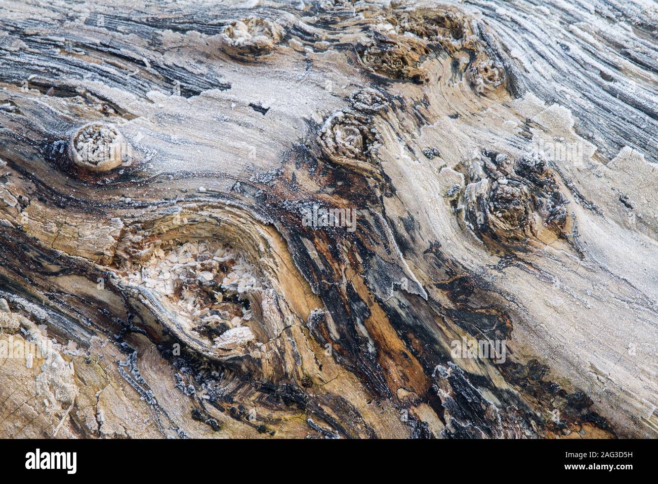 abstract texture of frozen lumber Stock Photo Alamy