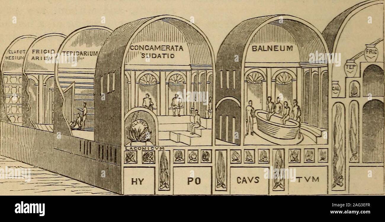 The Illustrated Companion To The Latin Dictionary And Greek