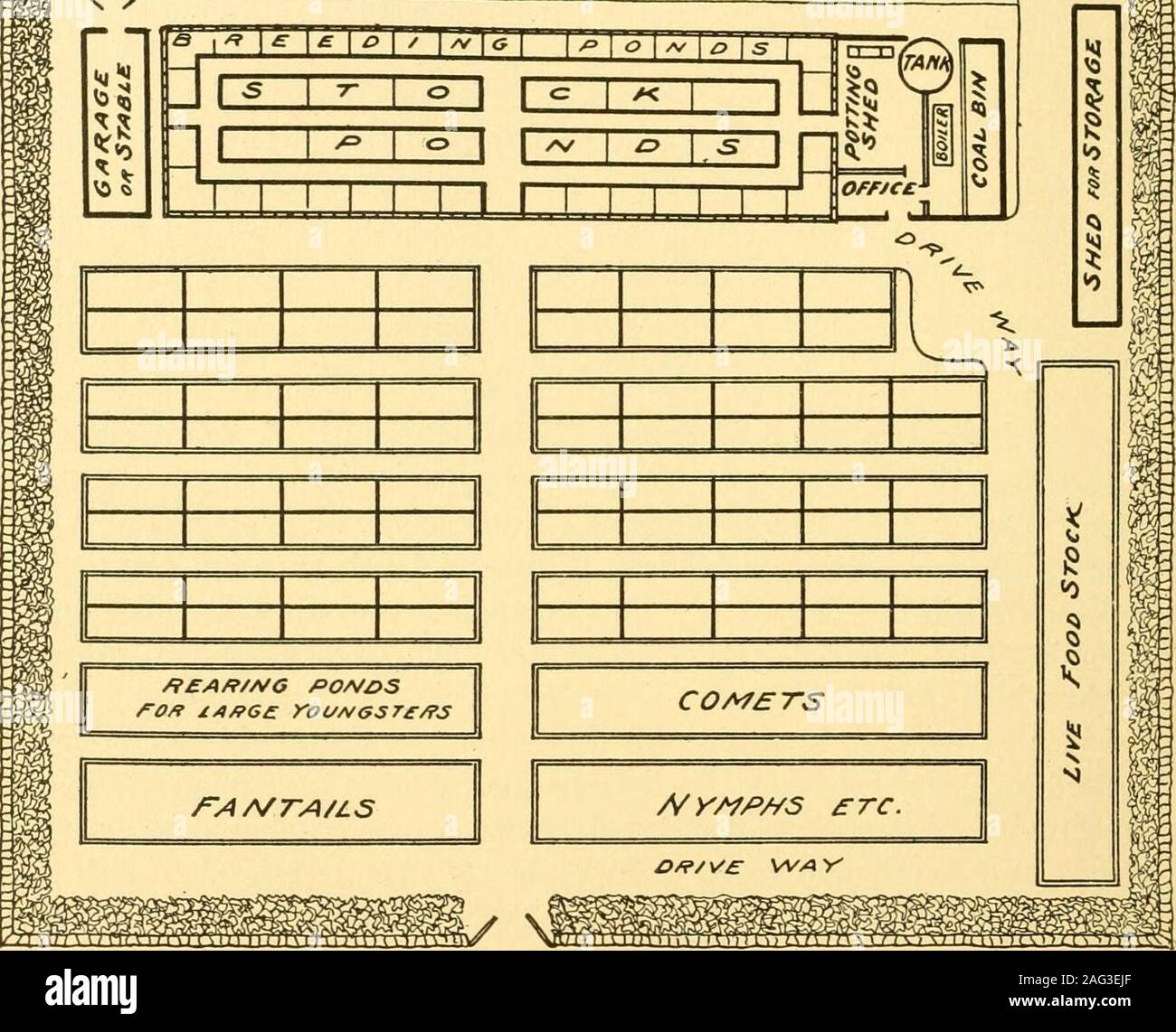 . Goldfish varieties and tropical aquarium fishes; a complete guide to