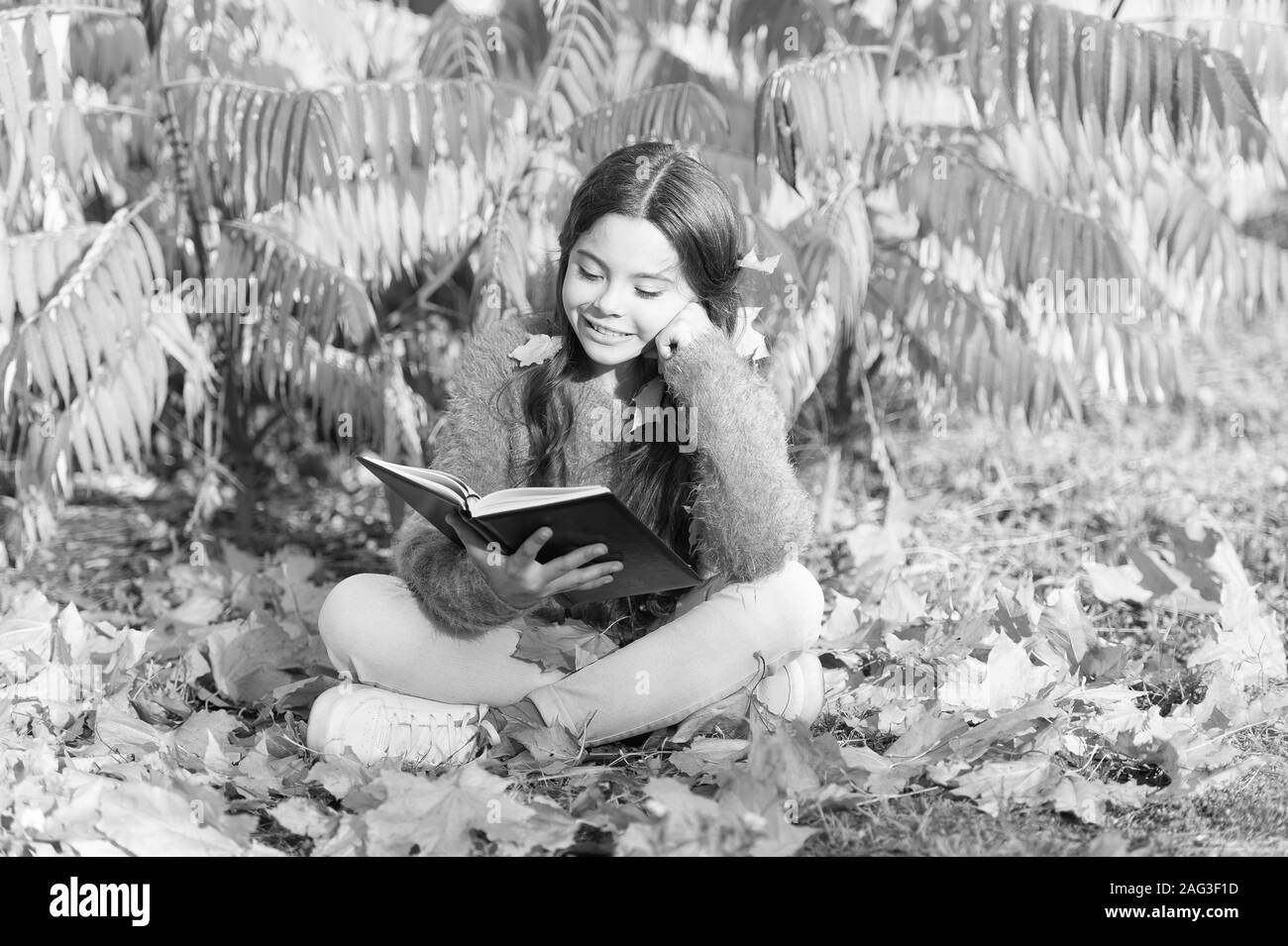 R Is For Reading Cute Small Child Learn Reading On Sunny Autumn Day Adorable Little Girl 