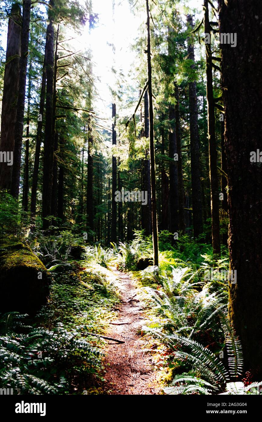 Beautiful shot narrow pathway hi-res stock photography and images - Alamy