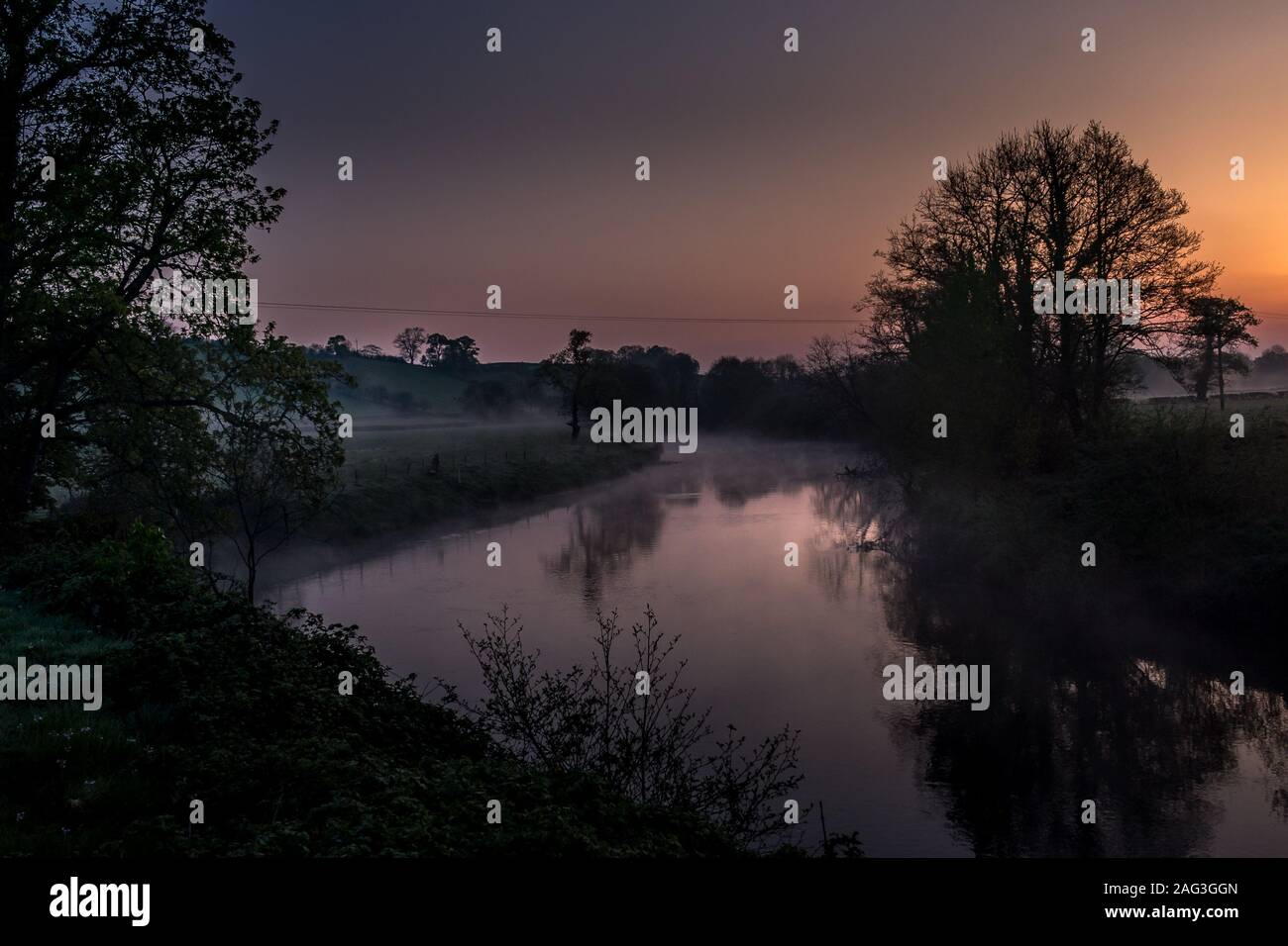 Foggy forest with beautiful trees Stock Photo - Alamy