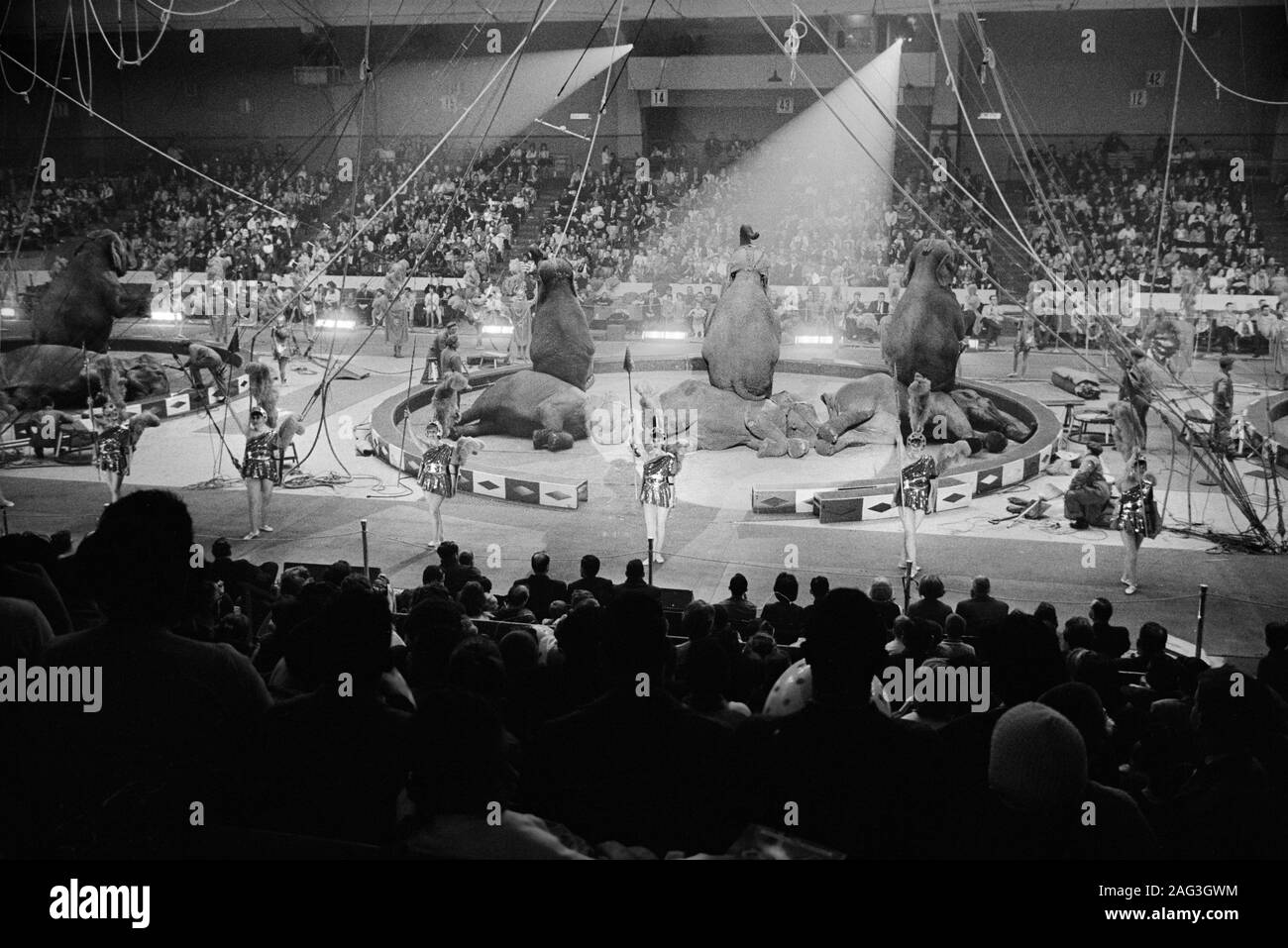 Three ring circus 1964 hires stock photography and images Alamy