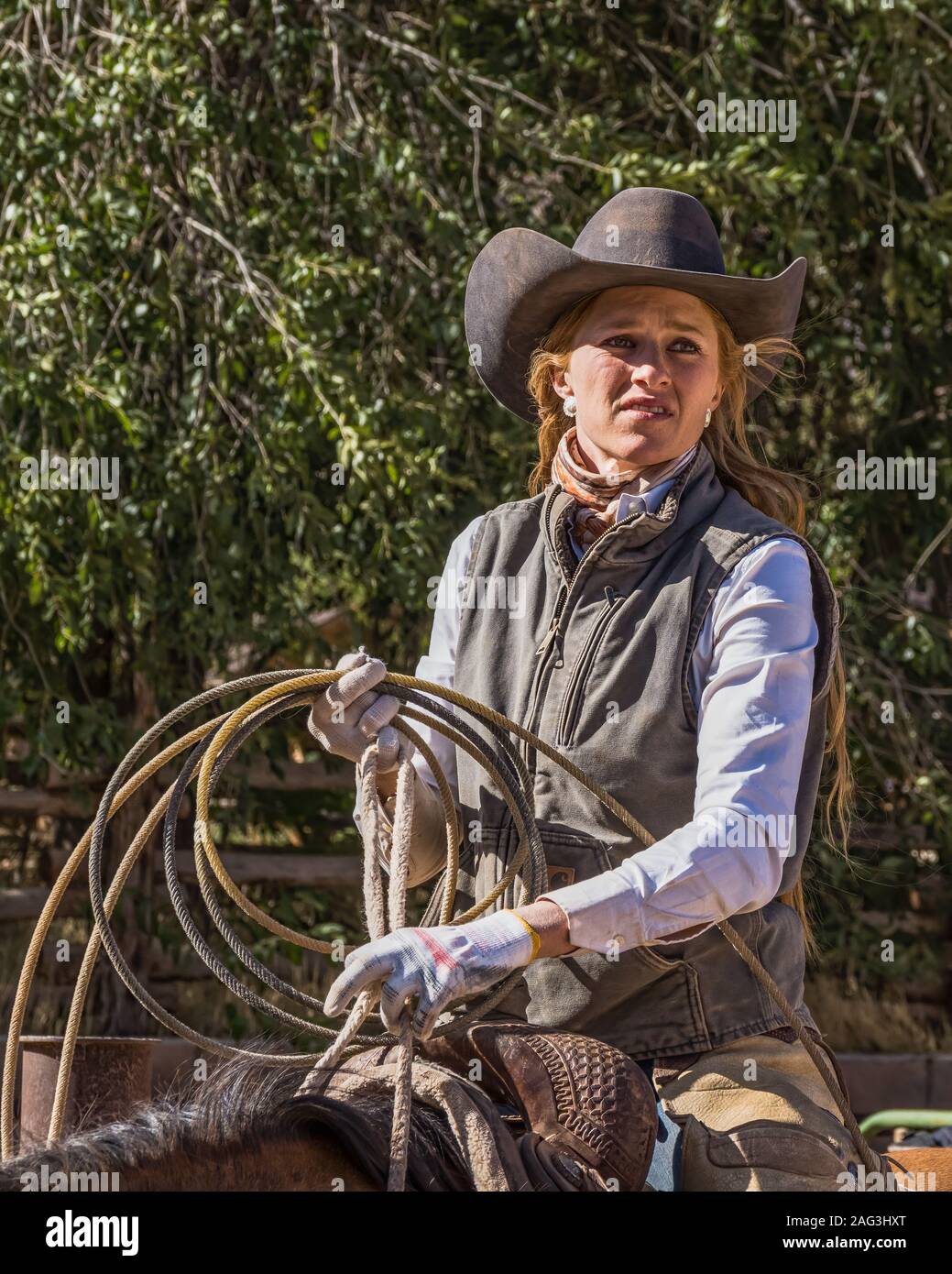 A working cowgirl wrangler prepares her lariat for roping calves in a corral on a ranch near Moab, Utah. Stock Photo