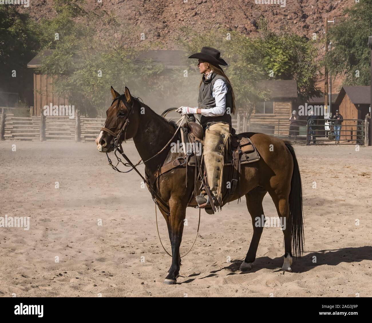 A working cowgirl wrangler on her horse in a dusty corral on a ranch near Moab, Utah.  She wears leather chaps to protect her from thorny brush while Stock Photo