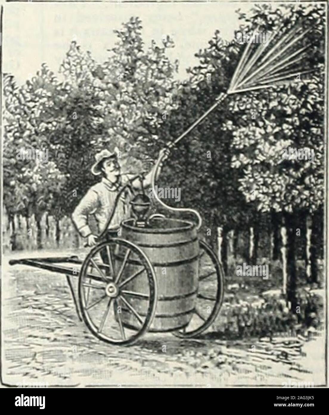 Mid-summer catalogue 1902 : plants for summer planting, seeds for summer  sowing, lawn and garden requisites, insect and fungus destroyers. be  quickly removed fromthe barrel. PRICES, (.without barrel or truck.)Oem  Outfit