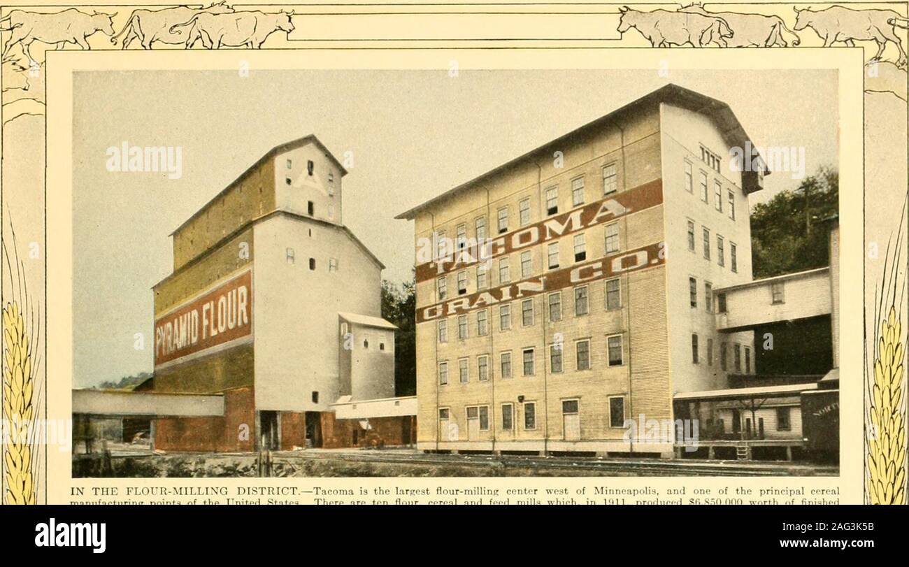 . the city with a snowcapped mountain in its dooryard. I IN