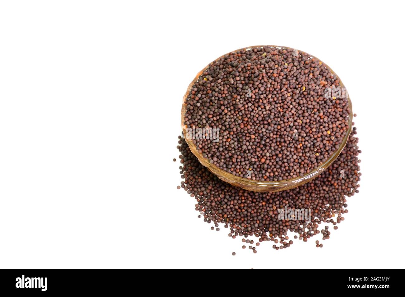 Indian Brown Mustard Seeds isolated on white background Stock Photo Alamy