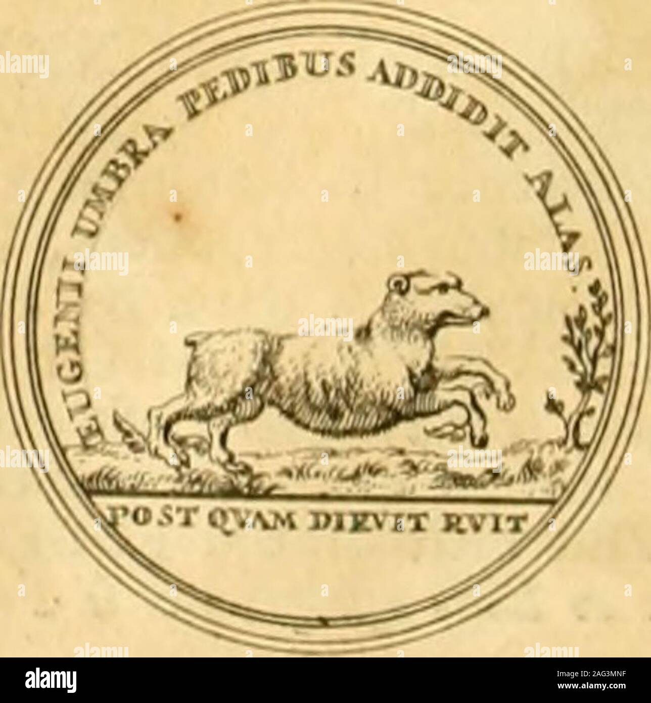 . Histoire des Provinces-Unies des Pays Bas. cccxLvn.. DES PROVINCES-UNIES DES PAYS-BAS. 185 Tout cela ctoit le fruit de la Bataille dO udenarde, que les Alliez ne pouvoicnt trop célébrerpar cette raifon. II étoit bien julte den taire honneur à la R e i n e dA ngleterre, dont le Ge-neral y avoit acquis tant de gloire; & de mêler un Monument de cette Victoire à ceux qui avoient étéfaits pour la prife de L i t&gt; l e , à laquelle le gain de cette Bataille navoit fait que frayer le chemin.Tel cil le fujet de la Médaille CCCXLIV. où dun côté ell rcprefcntée la Reine Anne, en Bulle,avec fa Couronn Stock Photo