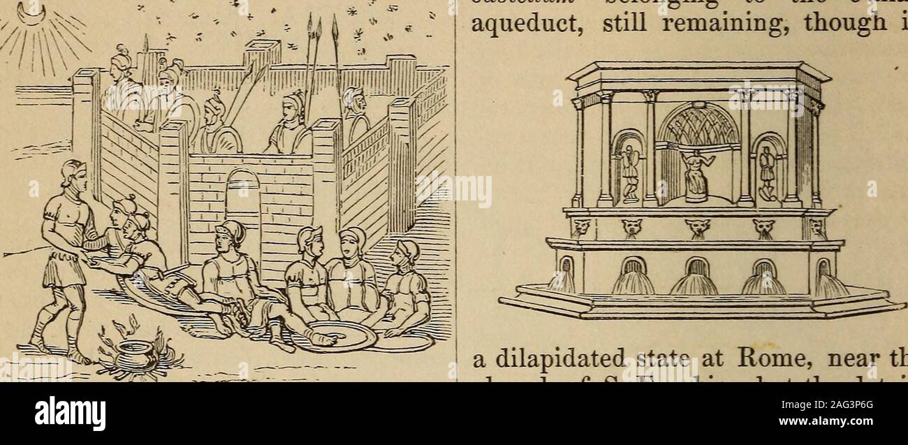 . The illustrated companion to the Latin dictionary and Greek lexicon ...