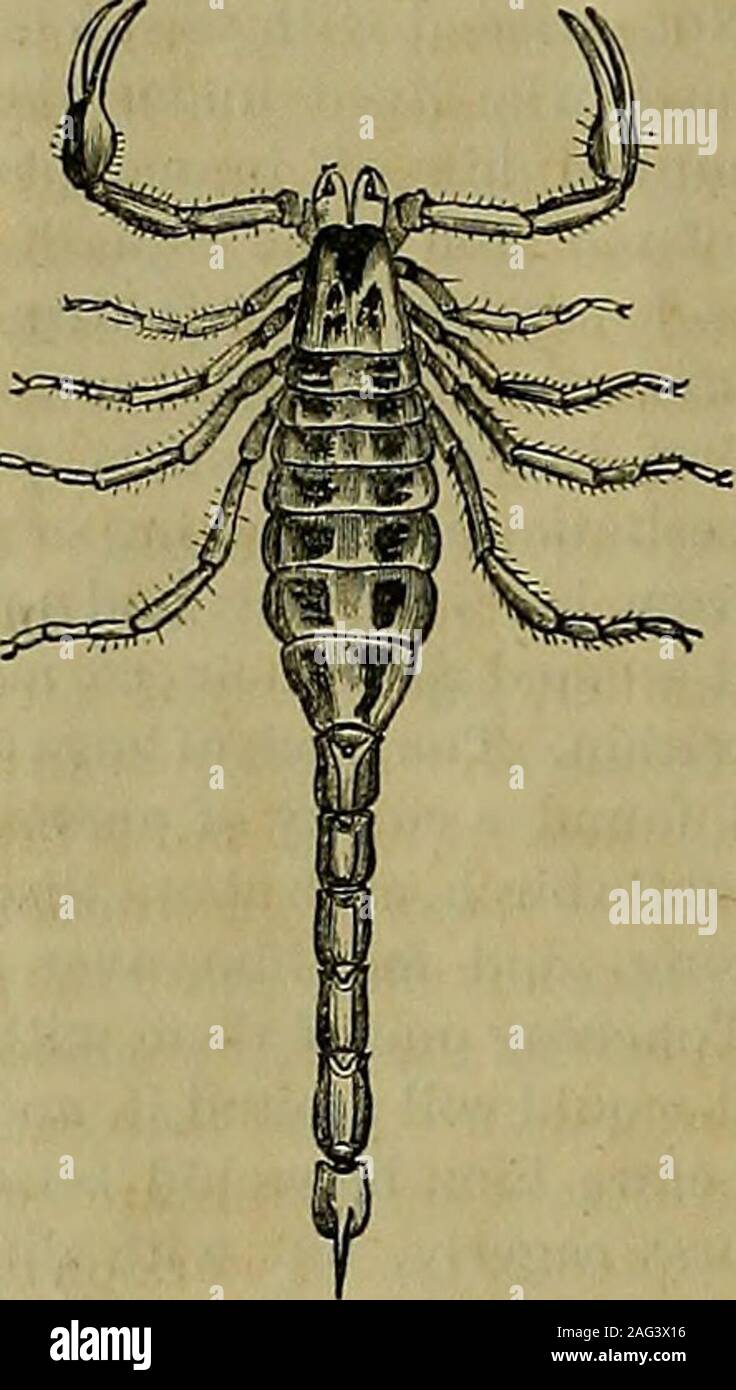 Page 15 Andother High Resolution Stock Photography And Images Alamy