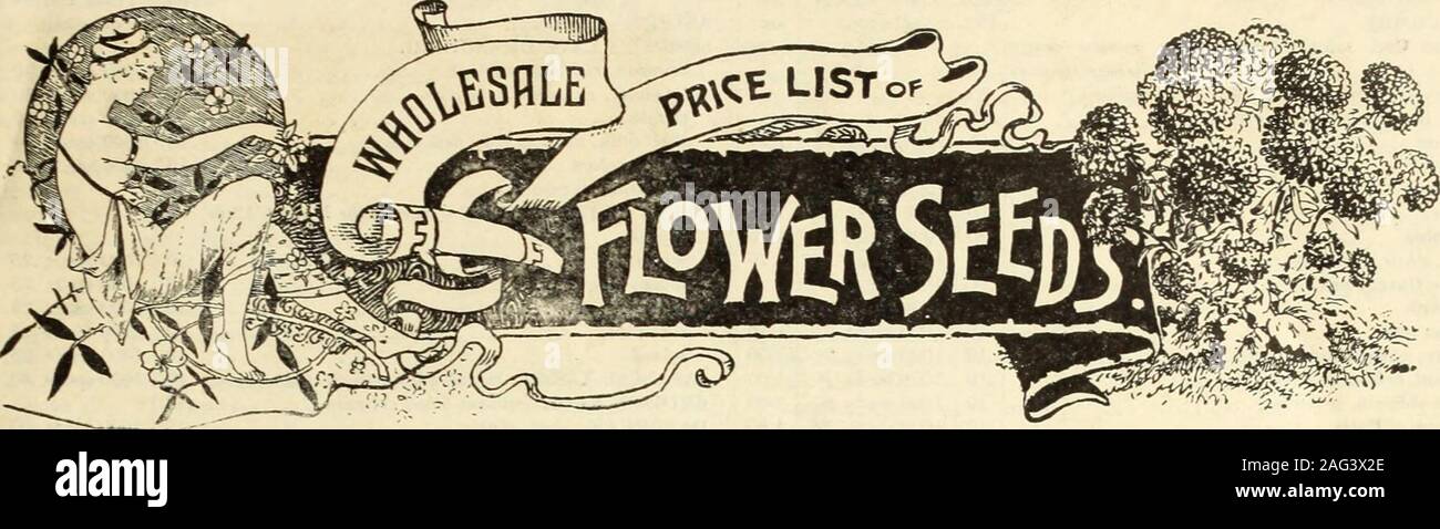 . Florists' wholesale catalogue. : seeds, bulbs, plants, &c. ottedwith purple. RUBELLUM, delicate pink, one foot early SPECIOSUM (See Lancifolium.) SUPERBUM (Turks Cap Lily) orange, tipped and spotted red TENUIFOLIUM, small but numerous fiery-scarlet flowers.TIGRINUM, Splendens (Imp. Tiger Lily) orange red, spotted Flora Plena (Double Tiger Lily) orange red, spotted. UMBELLATUM, mixed colors WALLACE!, red orange, raised maroon dots WASHINGTONIANUM.it/u/e, tinted with purple and lilac. Each. Doz. .08 .60 .10 .75 .15 1.25 .25 2.50 .50 5.00 .25 2.50 .15 1-50 .12 1.25 .15 1.50 .10 1.00 .12 1.25 .1 Stock Photo
