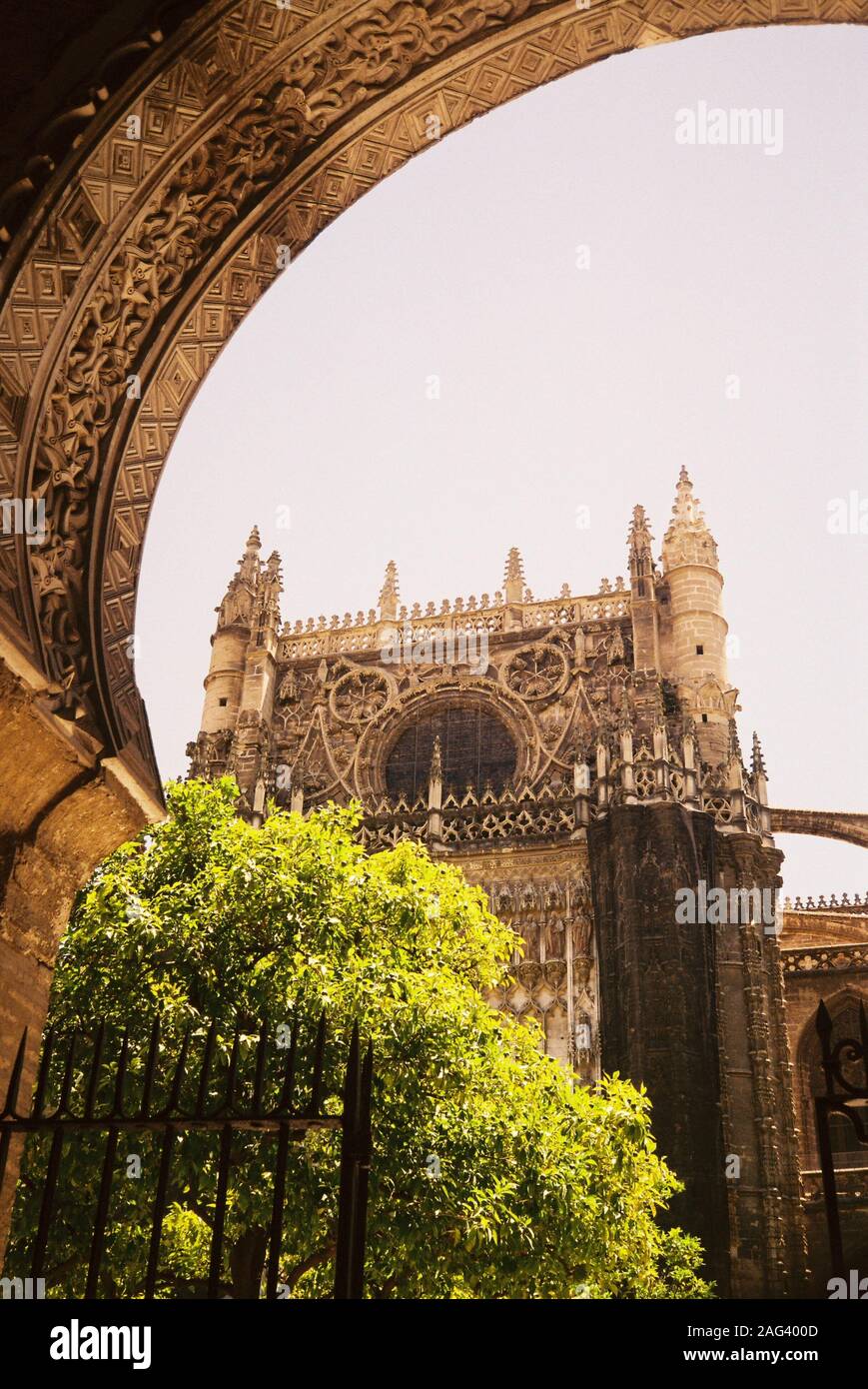 Vertical shot of the Giralda in Seville, Spain near green trees under the clear sky Stock Photo