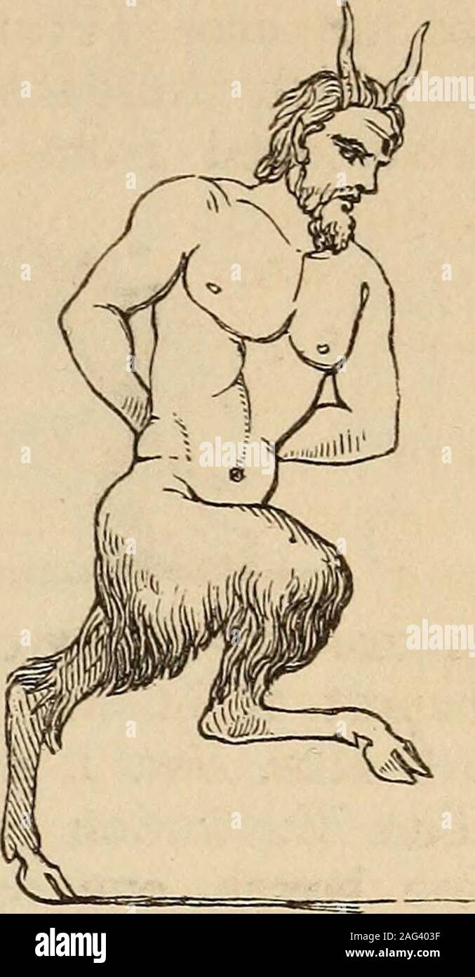 . The illustrated companion to the Latin dictionary and Greek lexicon ...