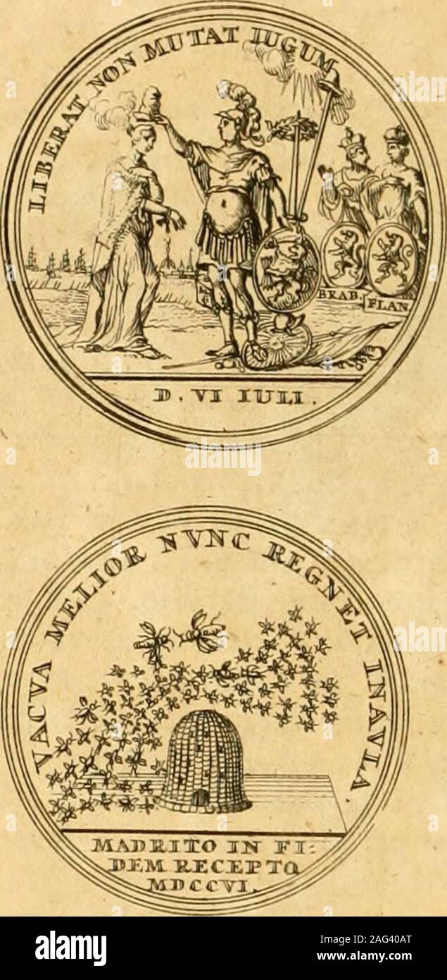 . Histoire des Provinces-Unies des Pays Bas. ,Î^NI MB riT VI. cccxxn ...
