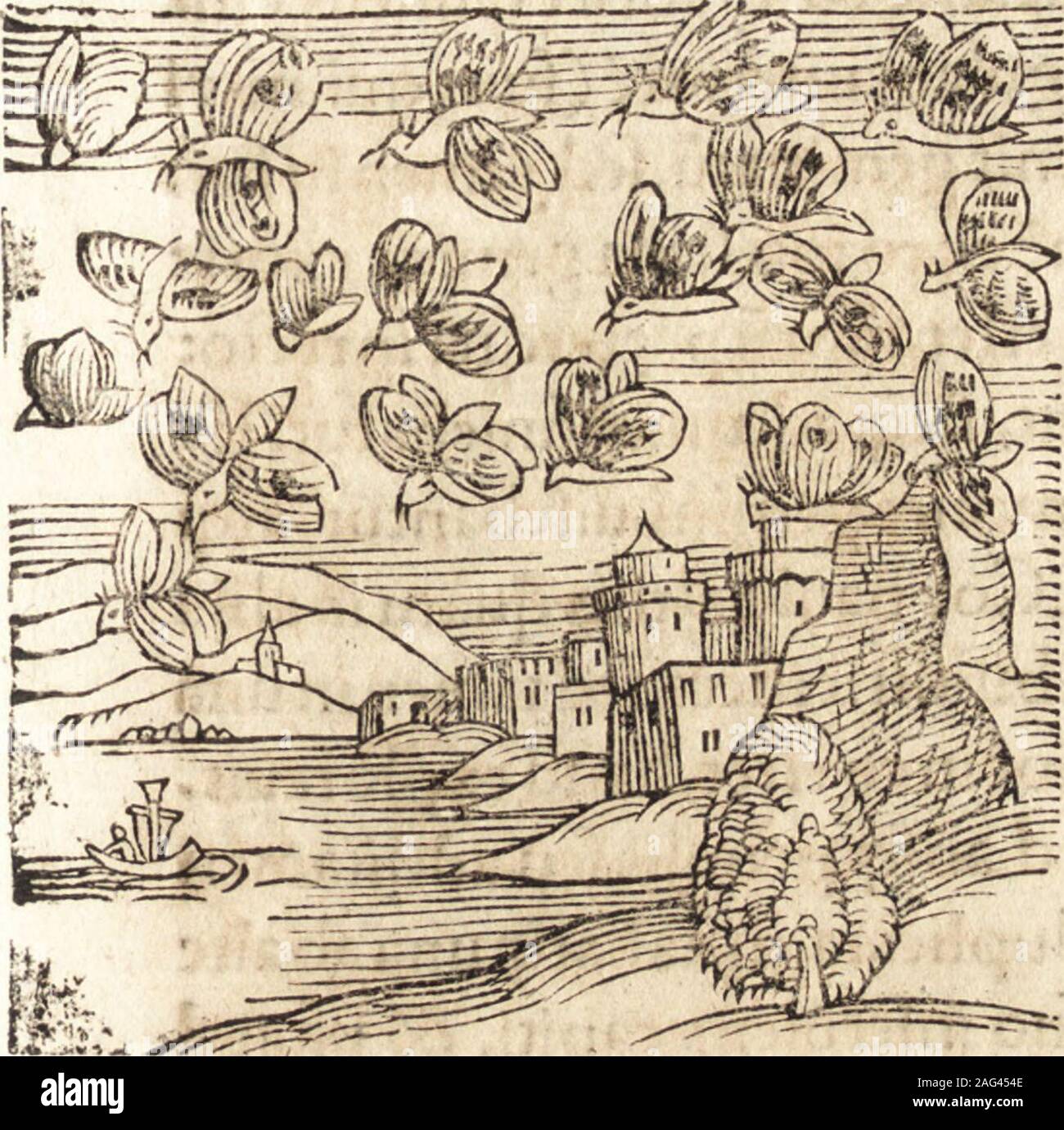 . Prodigiorvm ac ostentorvm chronicon : quae praeter naturae ordinem, motum, et operationem, et in svperioribus & his inferioribus mundi regionibus, ab exordio mundi usque ad haec nostra tempora, acciderunt .... & oftentis. 582 AnnoDo* oiini.. ^ttfe %. #V#^.#S%^ m Stock Photo