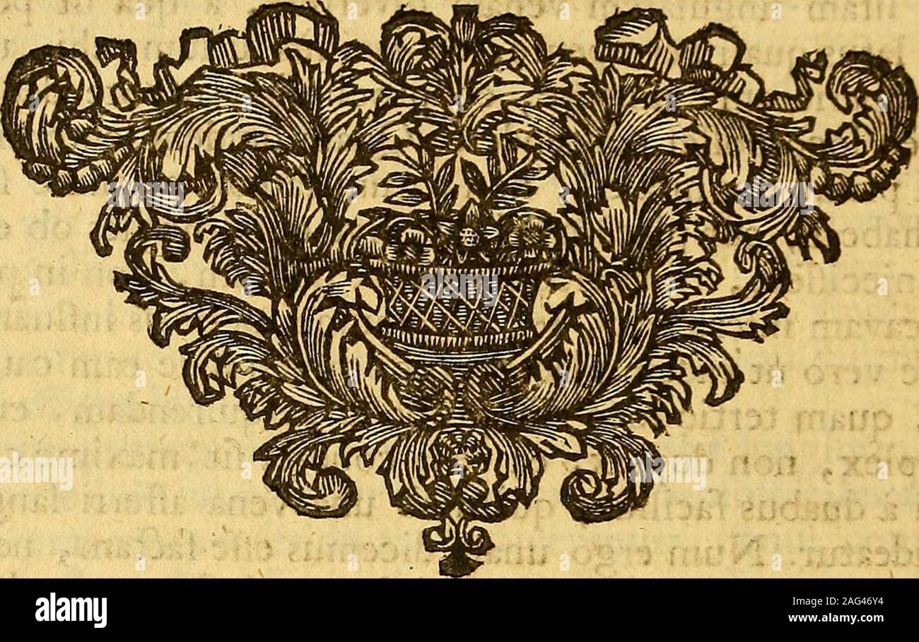 . Joannis Baptistae Morgagni ... Adversaria anatomica omnia : quorum tria posteriora nunc primùm prodeunt, novis pluribus aereis tabulis, & universal accuratissimo indice ornata. Opus nunc vere absolutum, inventis, & innumeris observationibus, ac monitis refertum, quibus universa humani corporis anatomie, & ... res medica, & chirurgica admodum illustrantur. onflituta quod videlicet impedimentum in finiflro tho-racis latere aliquod obfliterit, ne ejus venas truncus fatis commodeibi potuerit collocari ^ nunc enim certefiitiscommodelocatuseflabifta ipfa parte, quam cava tenet, in quam ille debet Stock Photo