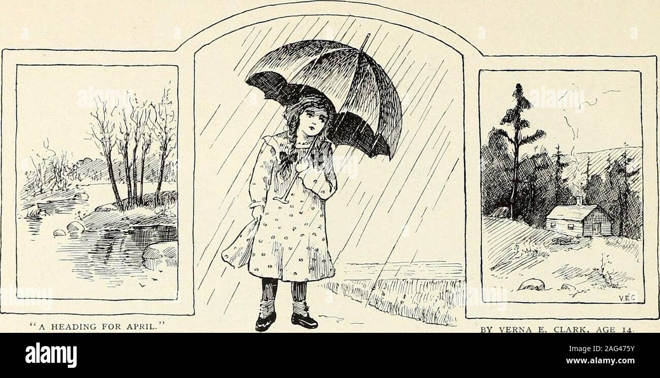 . St. Nicholas [serial]. When a turtle is swimming it puts itshead above water every few minutes, and ata distance, unless you see it moving, it looksexactly like a water-lily bud.. Ill ADINi; FOR APR THE ST. NICHOLAS LEAGUE. SHOWERS AND SUNSHINE. BY MABEL (CASH PRIZE.) A SHOWER of rain is dashing now Against the window-pane,The wind is moaning oer the roofs, And spring has come again.The maple-buds are scarcely swelled, Yet soon will burst in flowersAs down upon the grasses green Come bonny April showers. ?iiitc And where the violet and the Anemone should bloomThe snowy drifts are melting fas Stock Photo