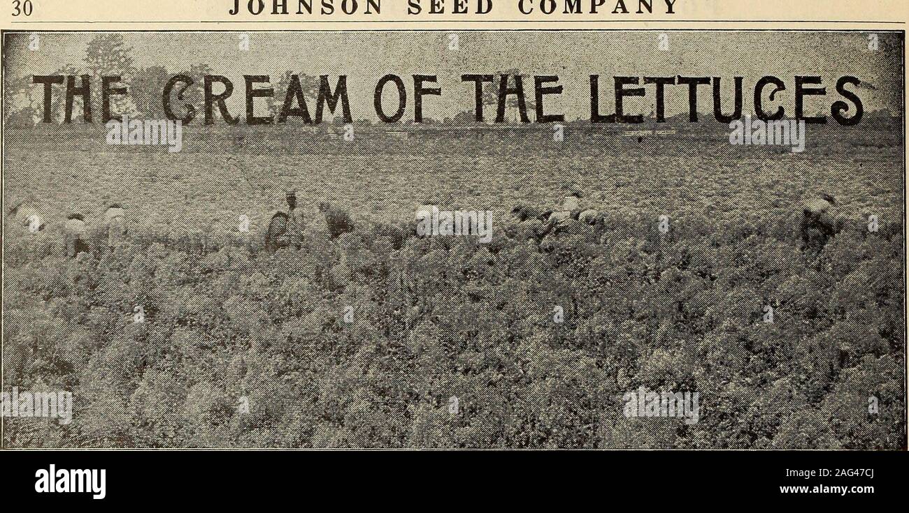 Johnson S Garden Farm Manual 1915 Horseradish Roots Johnson