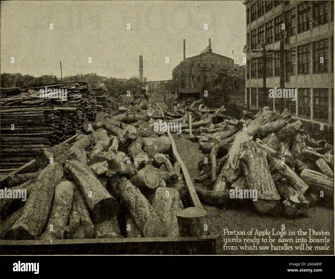 . Hardware merchandising March-June 1917. June 16, 1917. HARDWARE AND METAL 11. These logs will he sawn into boards in our own mill anastacked to season for three years before using. HENRY DISSTON & SONS Limited Stock Photo