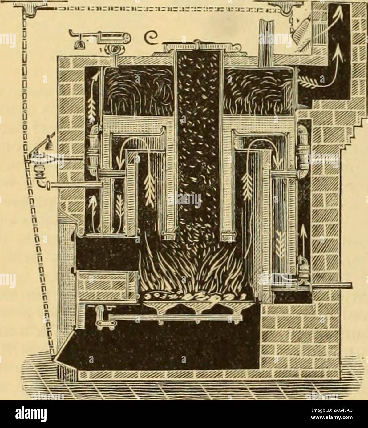 . A Reference handbook of the medical sciences embracing the entire