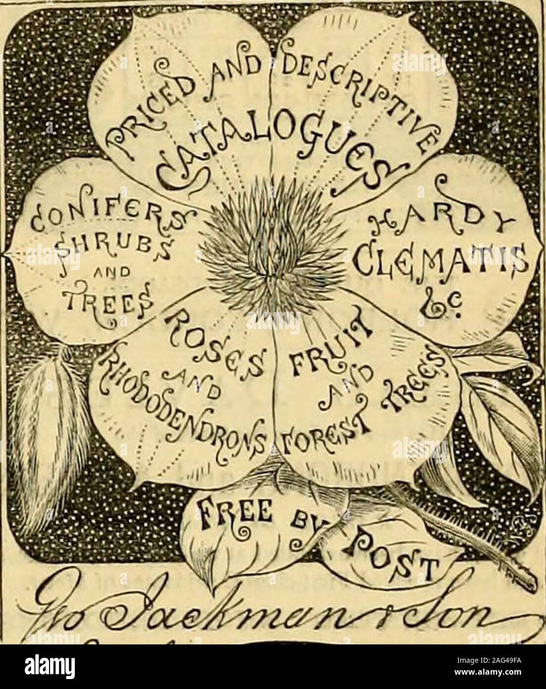 The Gardeners Chronicle A Weekly Illustrated Journal Of Horticulture And Allied Subjects Horticulturalrequirements Ul Every Description E Bp T In Stock H O L B O R N W C The