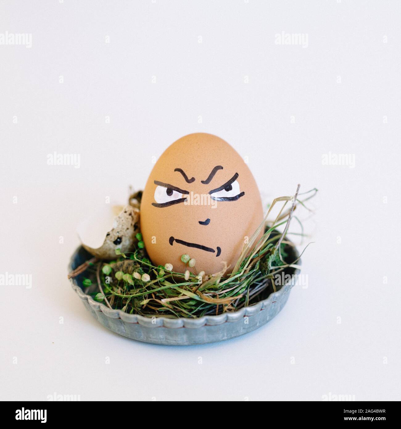 Depiction of an angry face on an egg in a cute small plate on a white background Stock Photo