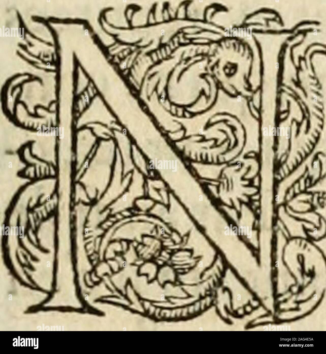 Initialn High Resolution Stock Photography And Images Alamy