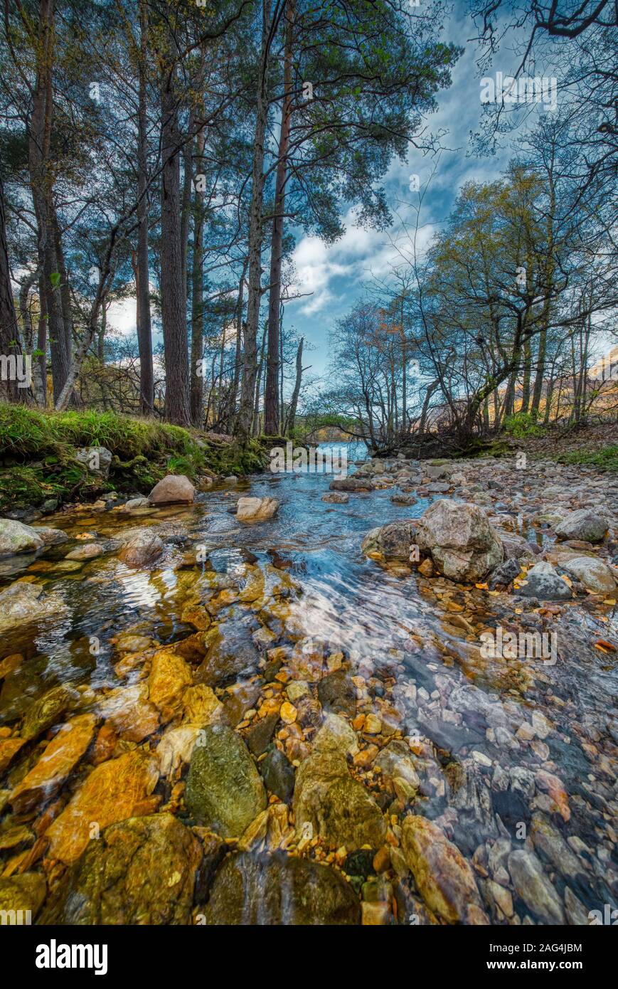 Vertical shot of a beautiful nature scene with a river and tall trees under  the bright cloudy sky Stock Photo - Alamy, image size:869x1390