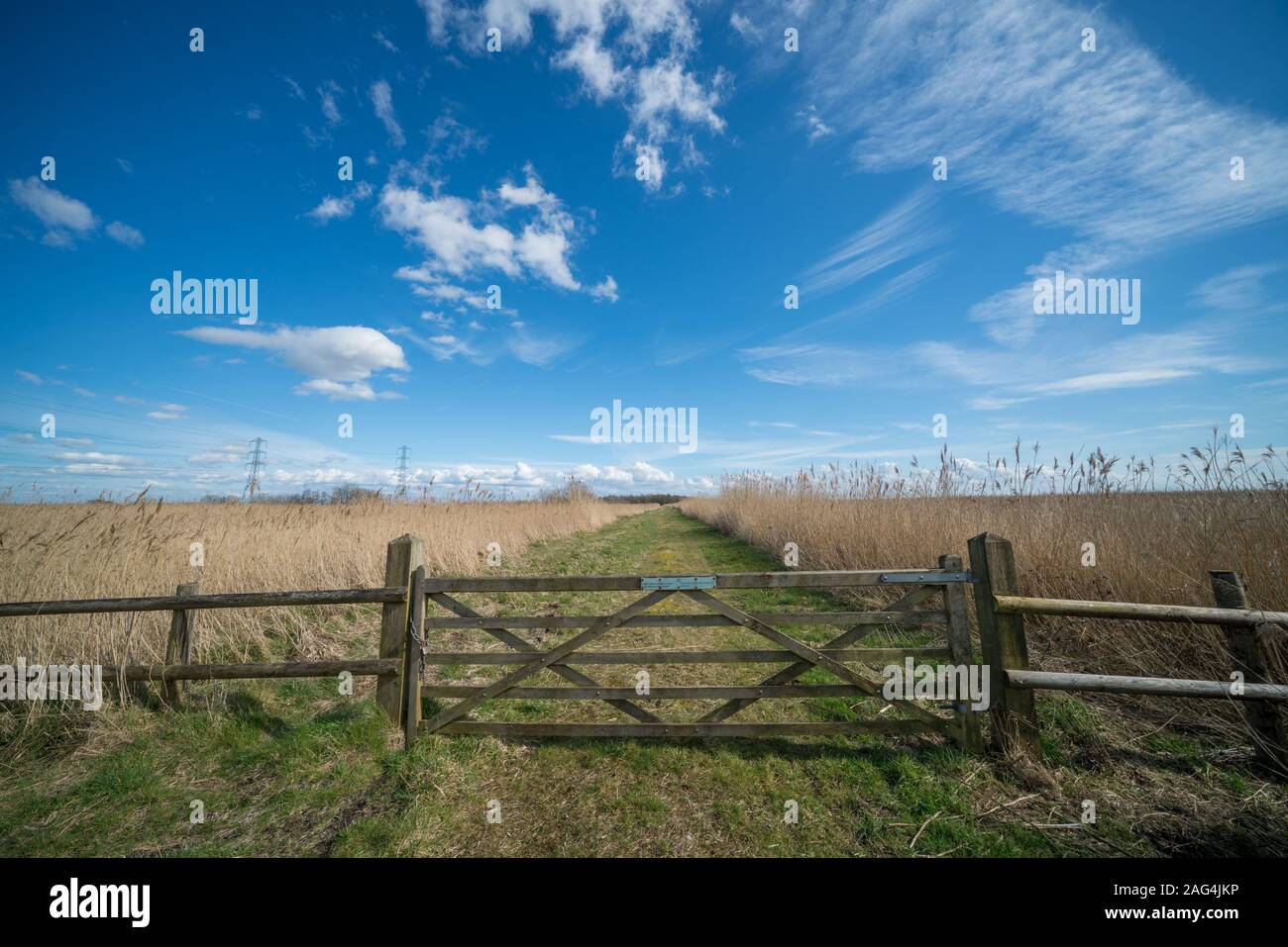 Beautiful shot of a path in the wild field isolated by a wooden fence ...