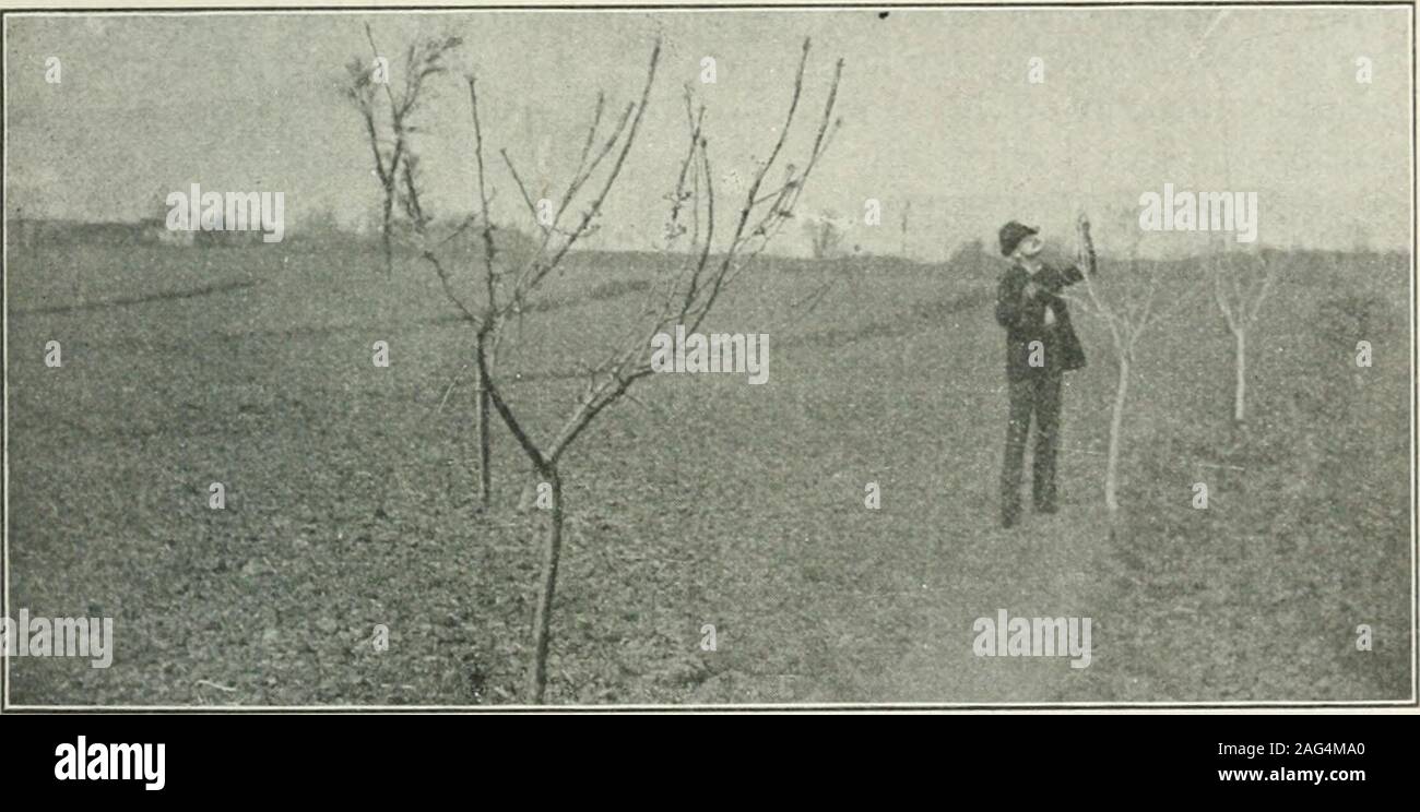 Lessen damage hi-res stock photography and images - Alamy