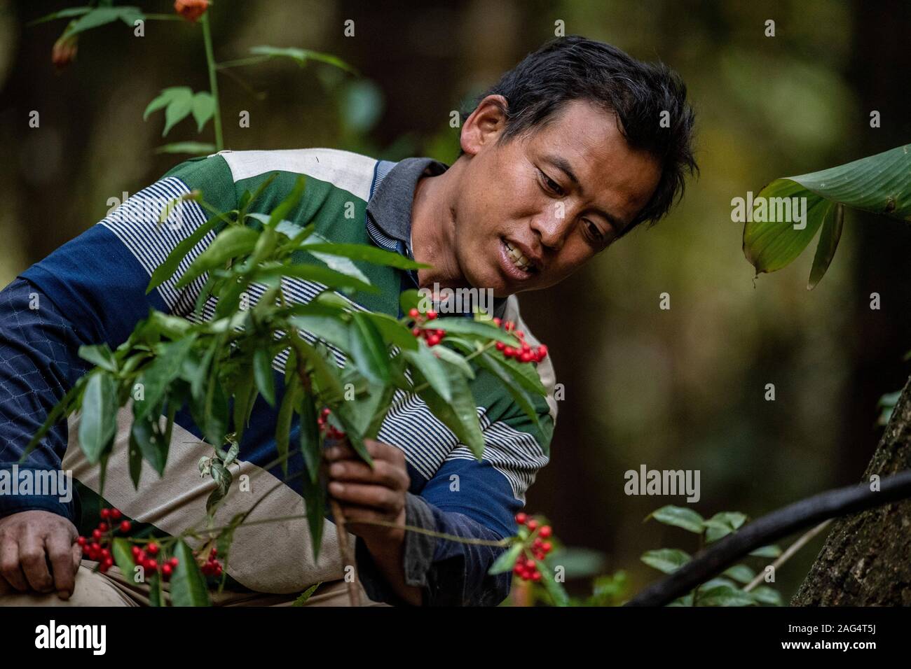 Captain brie Eight Moderator 191218) -- NUJIANG, Dec. 18, 2019 (Xinhua) -- Villager Lin Zhonghua works at a bird watching spot which he is in charge of in Sanhe Village of Luzhang Township in Nujiang Lisu Captain brie Eight Moderator 191218) -- NUJIANG, Dec. 18, 2019 (Xinhua) -- Villager Lin Zhonghua works at a bird watching spot which he is in charge of in Sanhe Village of Luzhang Township in Nujiang Lisu