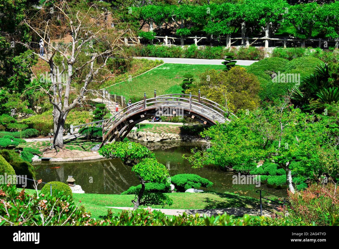 Beautiful park scenery with a bridge over a green lake surrounded by ...