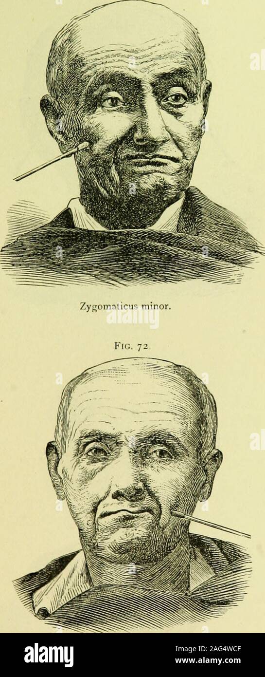 . Medical electricity; a practical treatise on the applications of